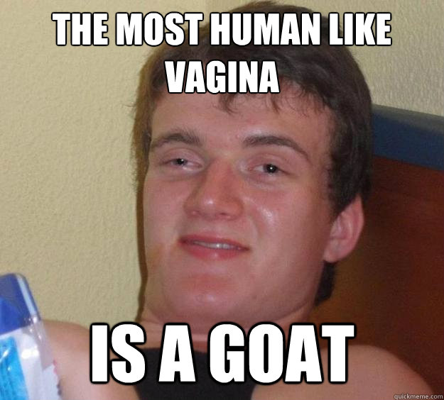 The most human like vagina  is a goat  10 Guy