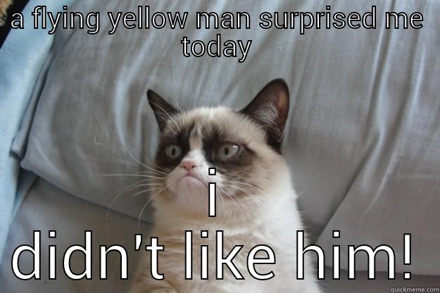 A FLYING YELLOW MAN SURPRISED ME TODAY I DIDN'T LIKE HIM! Grumpy Cat