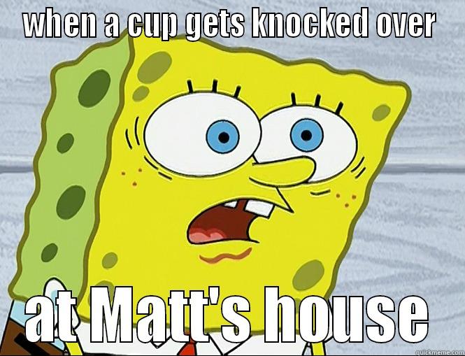 WHEN A CUP GETS KNOCKED OVER AT MATT'S HOUSE Misc