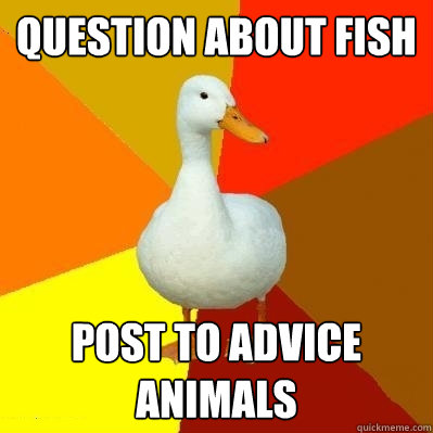 Question about fish post to advice animals  Tech Impaired Duck