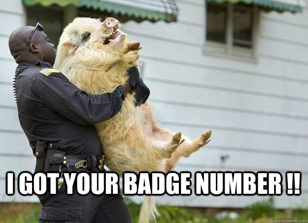  I got your badge number !! -  I got your badge number !!  Notorious P.I.G.