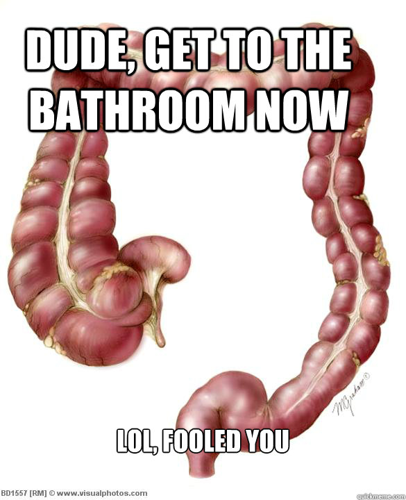 DUDE, GET TO THE BATHROOM NOW lol, fooled you  scumbag large intestine