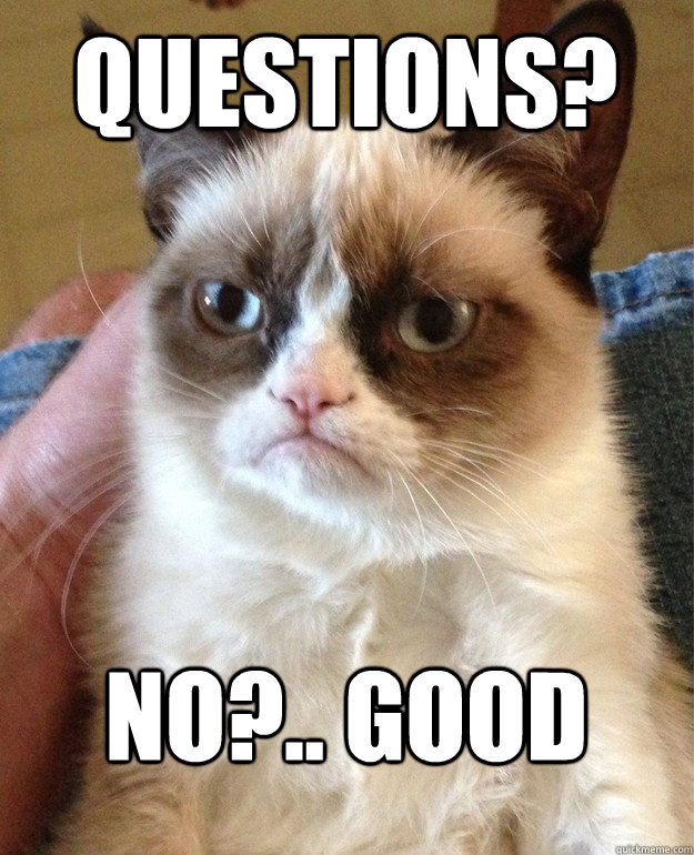 Questions? No?.. Good   Grumpy Cat