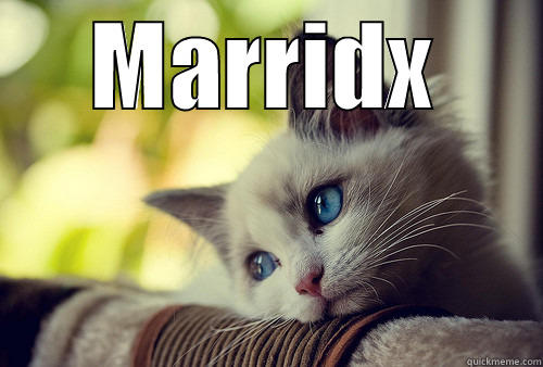 MARRIDX  First World Problems Cat