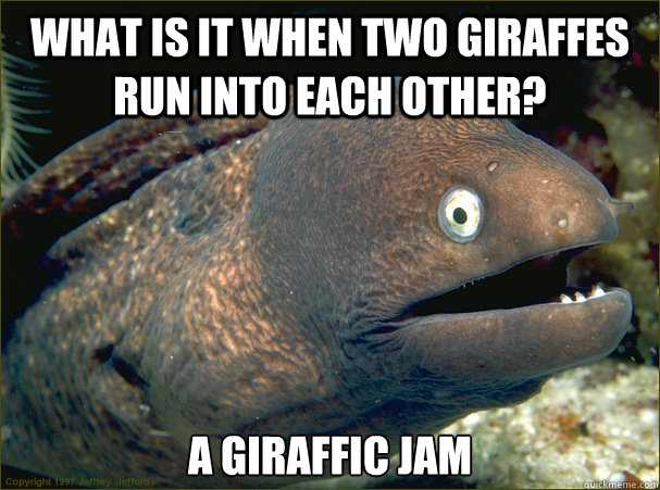 What is it when two giraffes run into each other? A Giraffic Jam  Bad Joke Eel