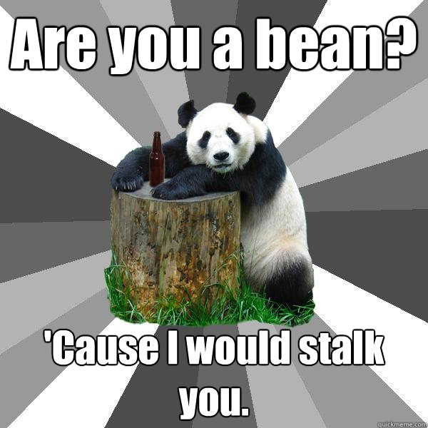 Are you a bean? 'Cause I would stalk you.   Pickup-Line Panda