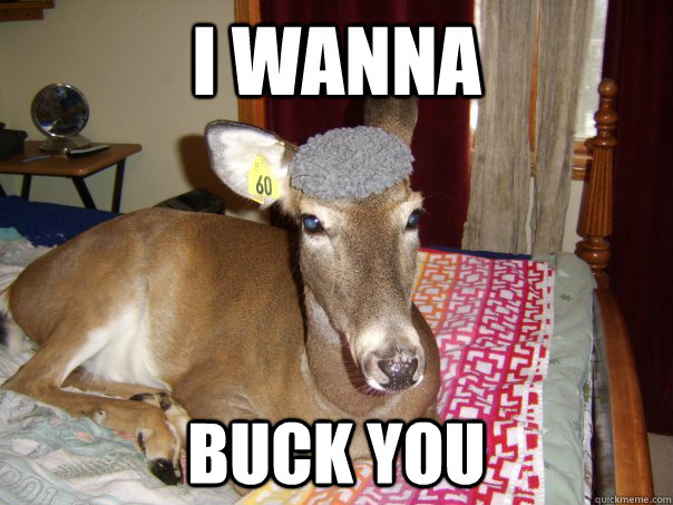 I wanna  Buck you  