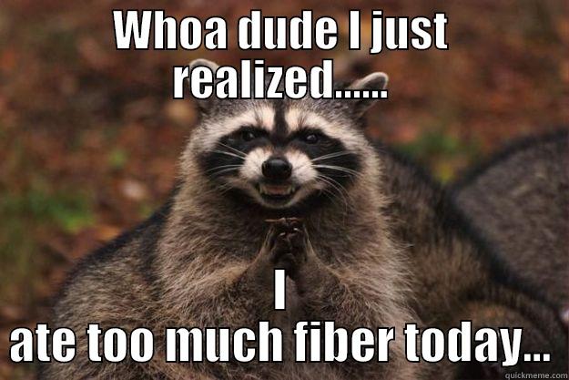 WHOA DUDE I JUST REALIZED...... I ATE TOO MUCH FIBER TODAY... Evil Plotting Raccoon