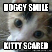 Doggy Smile Kitty Scared  