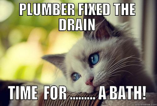 Scardy Cat  - PLUMBER FIXED THE DRAIN TIME  FOR ......... A BATH! First World Problems Cat