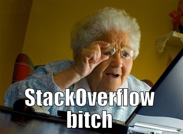 When people are asking for coding questions -  STACKOVERFLOW BITCH Grandma finds the Internet