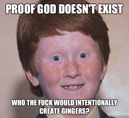 Proof god doesn't exist Who the fuck would intentionally create gingers? - Proof god doesn't exist Who the fuck would intentionally create gingers?  Over Confident Ginger