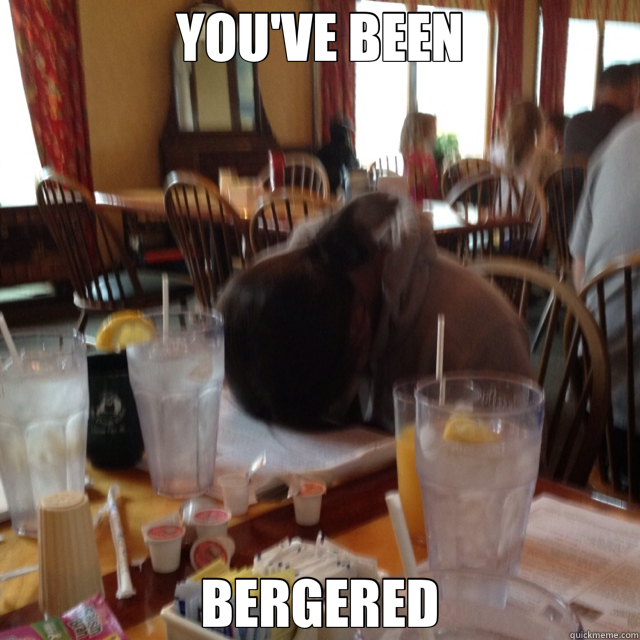 YOU'VE BEEN BERGERED  Berger 