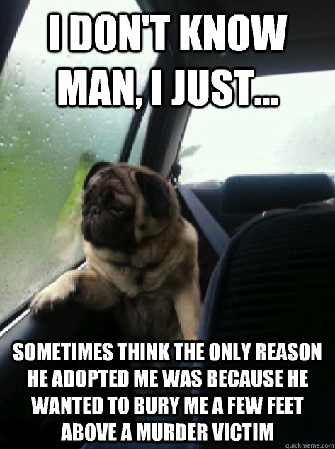 I don't know man, I just... sometimes think the only reason he adopted me was because he wanted to bury me a few feet above a murder victim  Introspective Pug