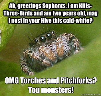 Ah, greetings Sophonts. I am Kills-Three-Birds and am two years old, may I nest in your Hive this cold-white? OMG Torches and Pitchforks?
You monsters!
  Misunderstood Spider