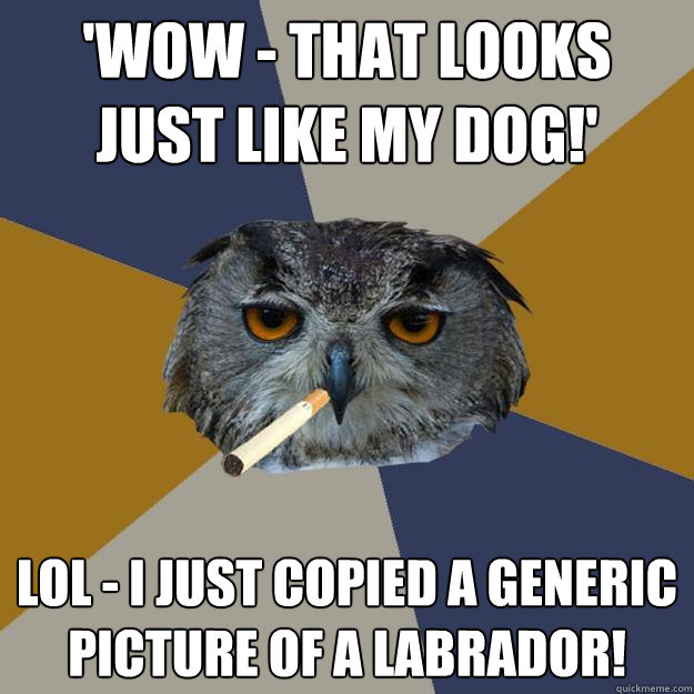 'Wow - That looks just like my Dog!' LOL - I just copied a generic picture of a labrador!   Art Student Owl