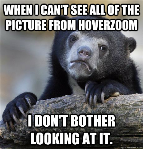 When I can't see all of the picture from hoverzoom I don't bother looking at it.  Confession Bear