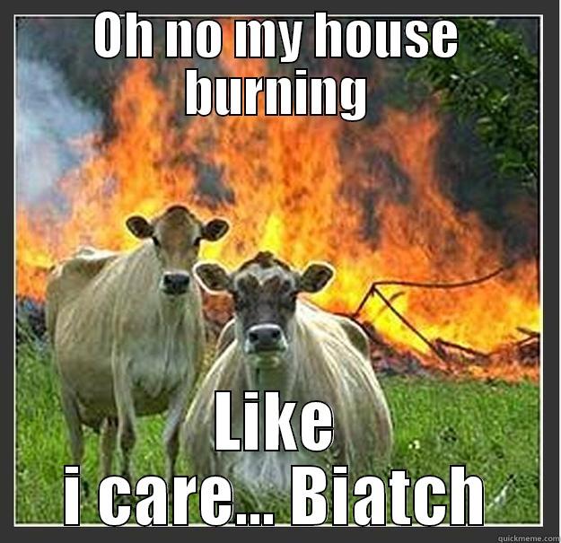 My house are burning... what ever - OH NO MY HOUSE BURNING LIKE I CARE... BIATCH Evil cows