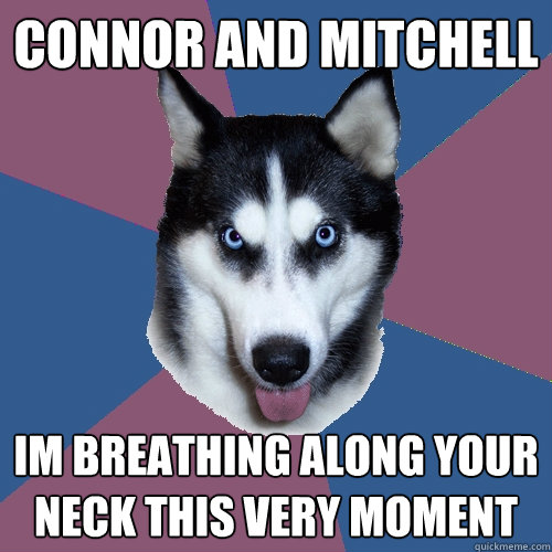 Connor and Mitchell im breathing along your neck this very moment  Creeper Canine