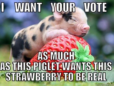 I     WANT    YOUR    VOTE    AS MUCH AS THIS PIGLET WANTS THIS STRAWBERRY TO BE REAL Misc