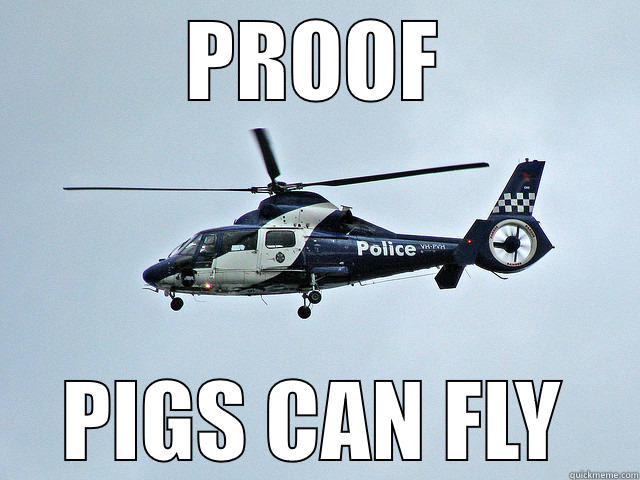 PROOF PIGS CAN FLY Misc