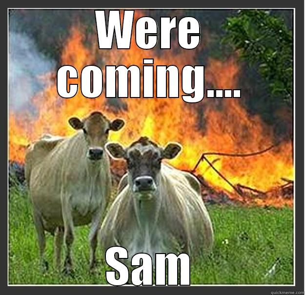 WERE COMING.... SAM Evil cows