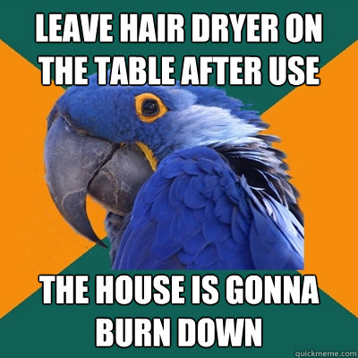 leave hair dryer on the table after use the house is gonna burn down  Paranoid Parrot