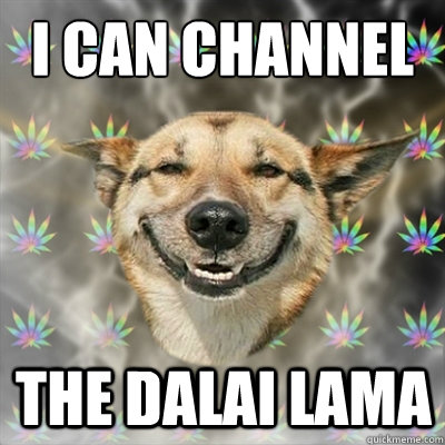 I can channel the Dalai Lama  Stoner Dog