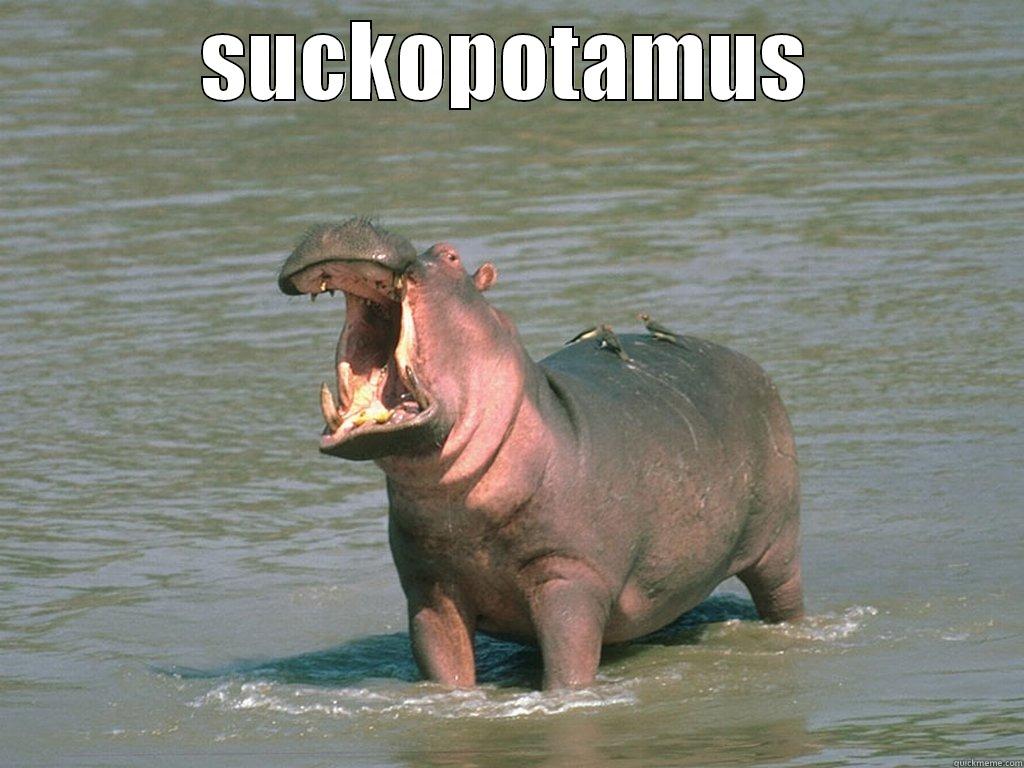 SUCKOPOTAMUS  Misc