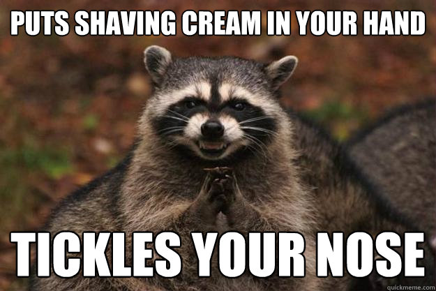 Puts shaving cream in your hand Tickles your nose - Puts shaving cream in your hand Tickles your nose  Evil Plotting Raccoon