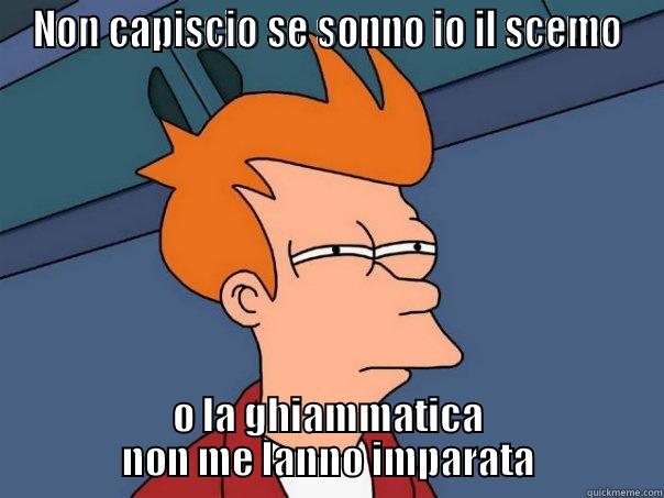 Fry gnoranto - NON CAPISCIO SE SONNO IO IL SCEMO O LA GHIAMMATICA NON ME LANNO IMPARATA Futurama Fry