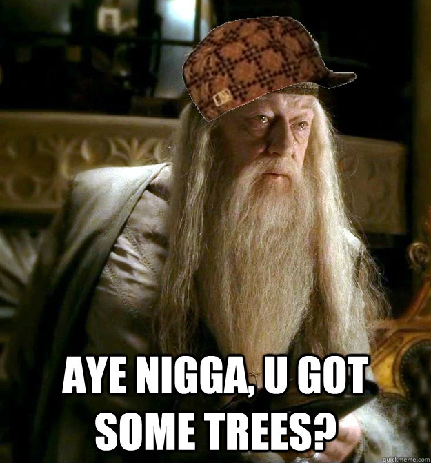  aye nigga, u got some trees?  Scumbag Dumbledore