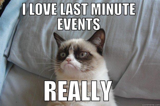 I LOVE LAST MINUTE EVENTS REALLY Grumpy Cat