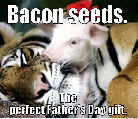 BACON SEEDS. THE PERFECT FATHER'S DAY GIFT. Misc