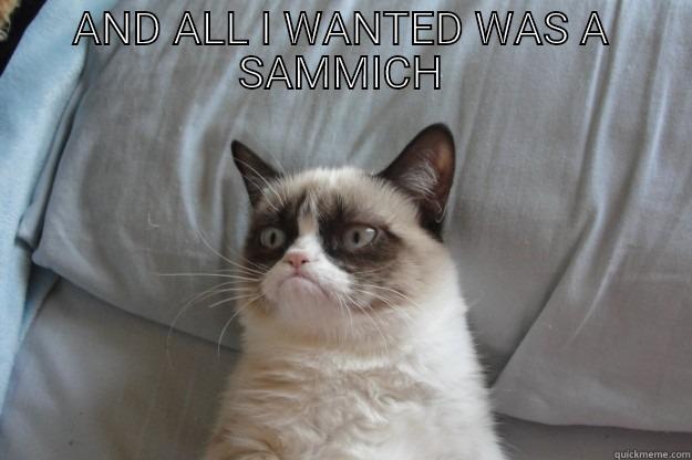 AND ALL I WANTED WAS A SAMMICH  Grumpy Cat