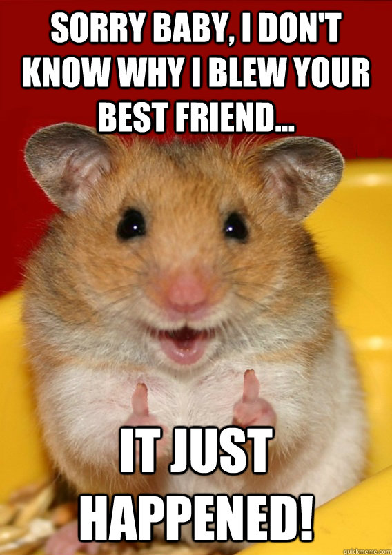 sorry baby, i don't know why I blew your best friend... it just happened!  - sorry baby, i don't know why I blew your best friend... it just happened!   Rationalization Hamster