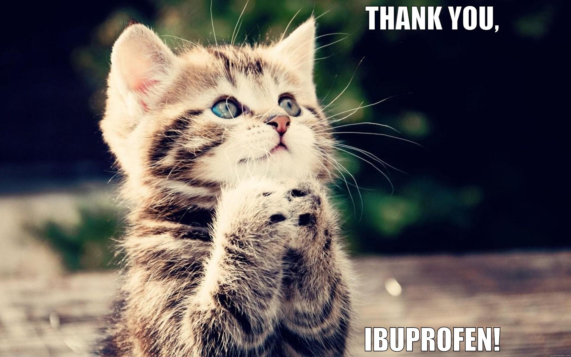                                                          THANK YOU,                                                          IBUPROFEN! Misc