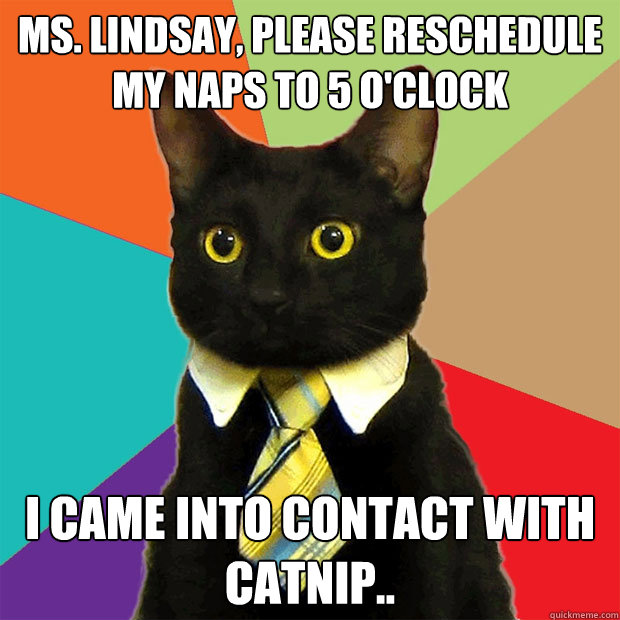 Ms. Lindsay, please reschedule my naps to 5 o'clock I came into contact with catnip..  Business Cat