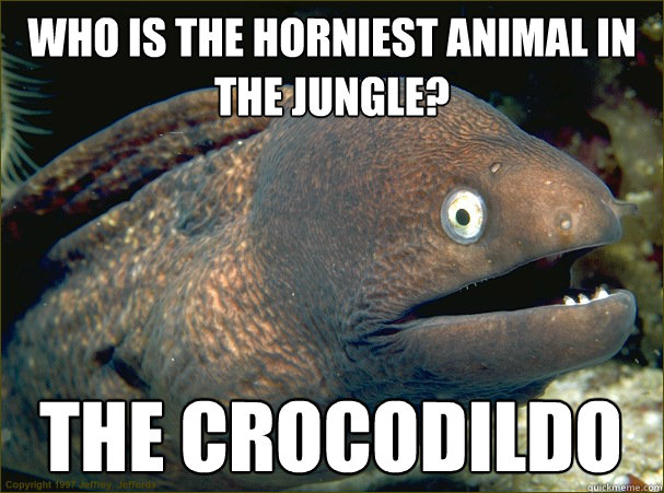 Who is the horniest animal in the jungle? The crocodildo - Who is the horniest animal in the jungle? The crocodildo  Bad Joke Eel