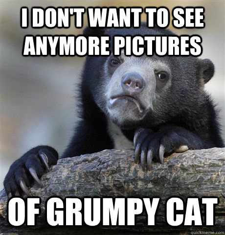 I don't want to see anymore pictures of grumpy cat  Confession Bear