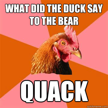 What did the duck say to the bear Quack - What did the duck say to the bear Quack  Anti-Joke Chicken