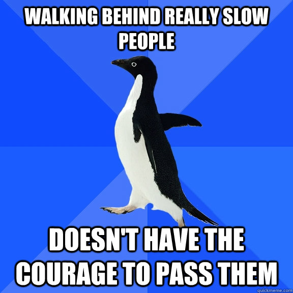 Walking behind really slow people Doesn't have the courage to pass them - Walking behind really slow people Doesn't have the courage to pass them  Socially Awkward Penguin