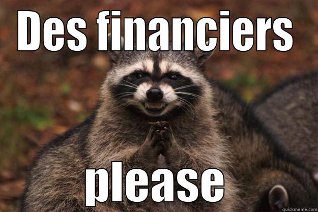 DES FINANCIERS PLEASE Evil Plotting Raccoon