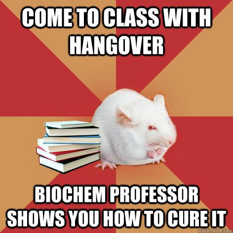 come to class with hangover biochem professor shows you how to cure it  Science Major Mouse