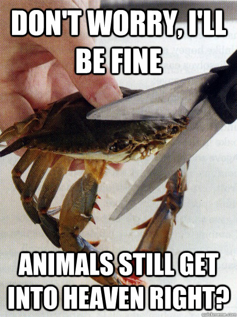 Don't worry, I'll be fine Animals still get into heaven right?  Optimistic Crab