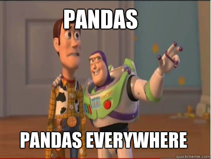 pandas pandas Everywhere  woody and buzz