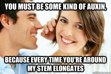 You must be some kind of auxin, Because every time you're around my stem elongates - You must be some kind of auxin, Because every time you're around my stem elongates  Bad Pick-up line Paul