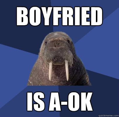 boyfried is A-OK  Web Developer Walrus