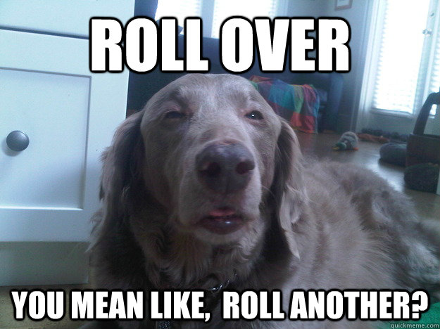 Roll over you mean like,  roll another?  10 Dog