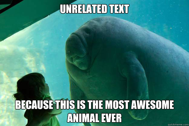 Unrelated text Because this is the most awesome animal ever - Unrelated text Because this is the most awesome animal ever  Overlord Manatee